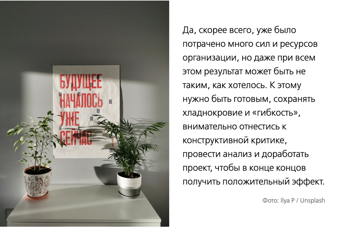 Как создать социокультурный проект в учреждении культуры | Агентство  социальной информации | Дзен