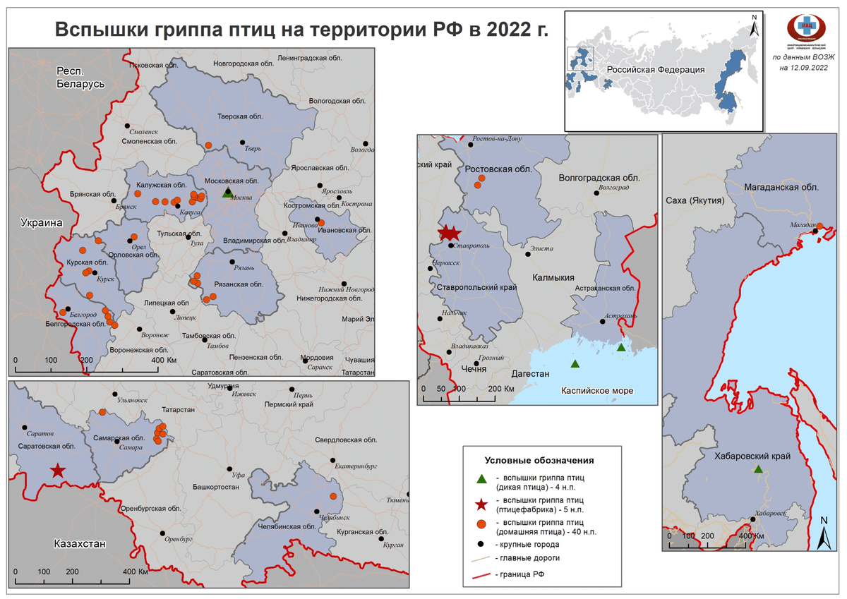 Карта птичьего гриппа в россии