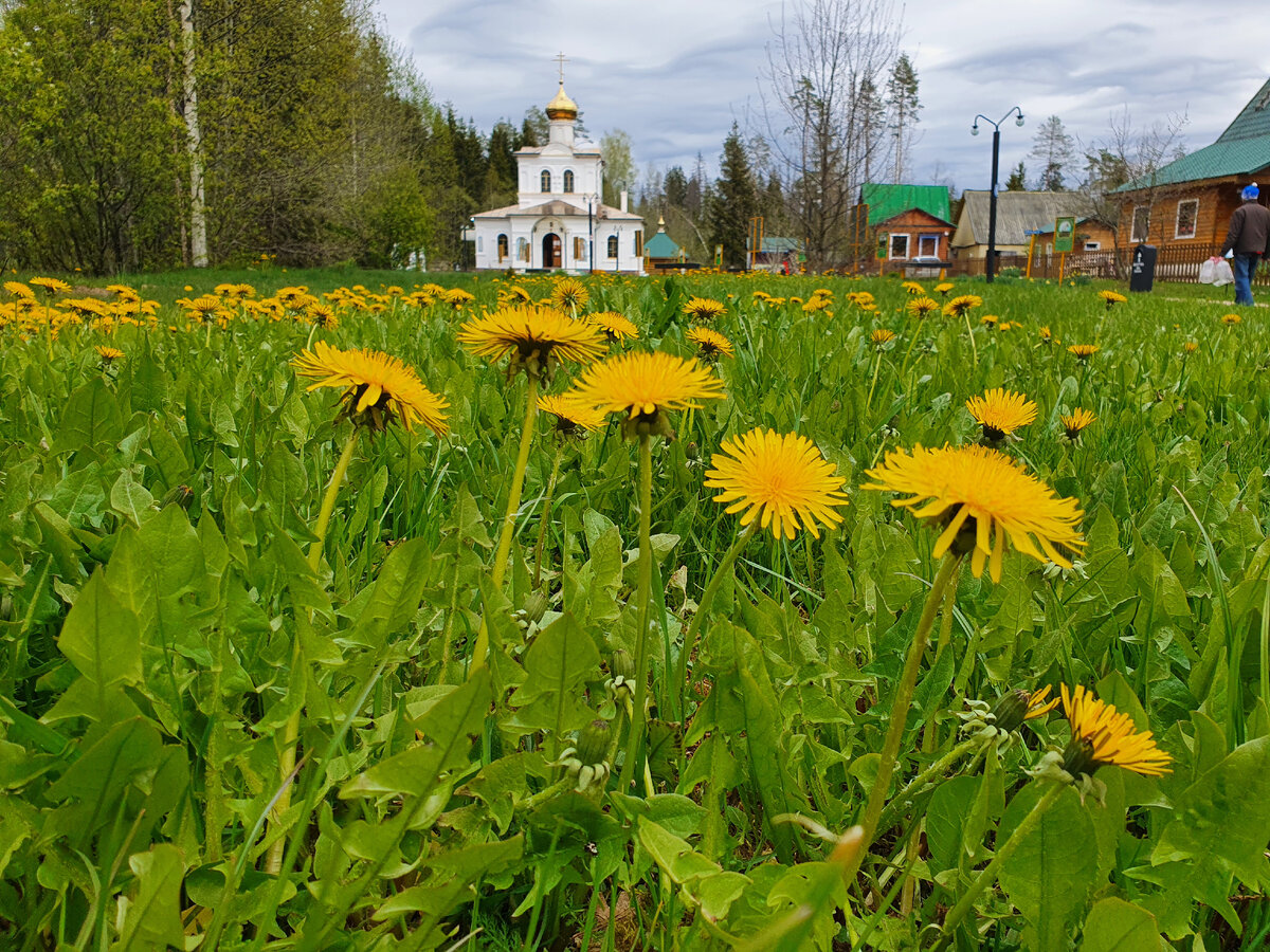 Оковецкий источник Тверская область