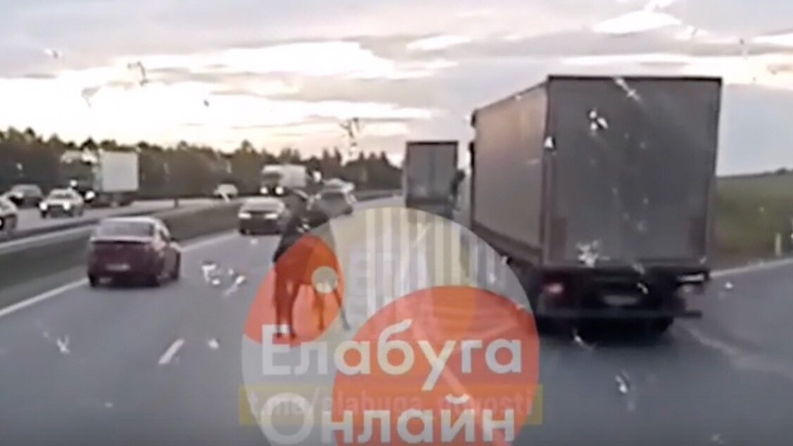     Автолюбители заметили на трассе М-7 в Елабужском районе мужчину, который передвигался по дороге на лошади. Автор видео отметил, что он был пьян. Соответствующая публикация появилась в городском сообществе во «ВКонтакте».