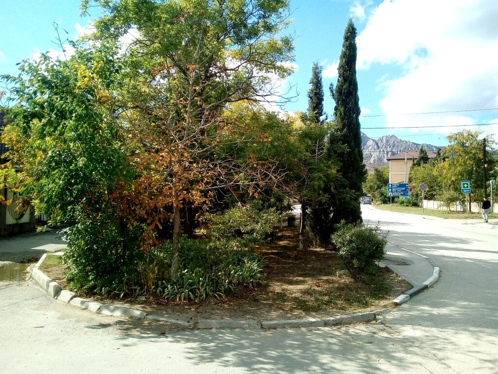 Фото автора канала