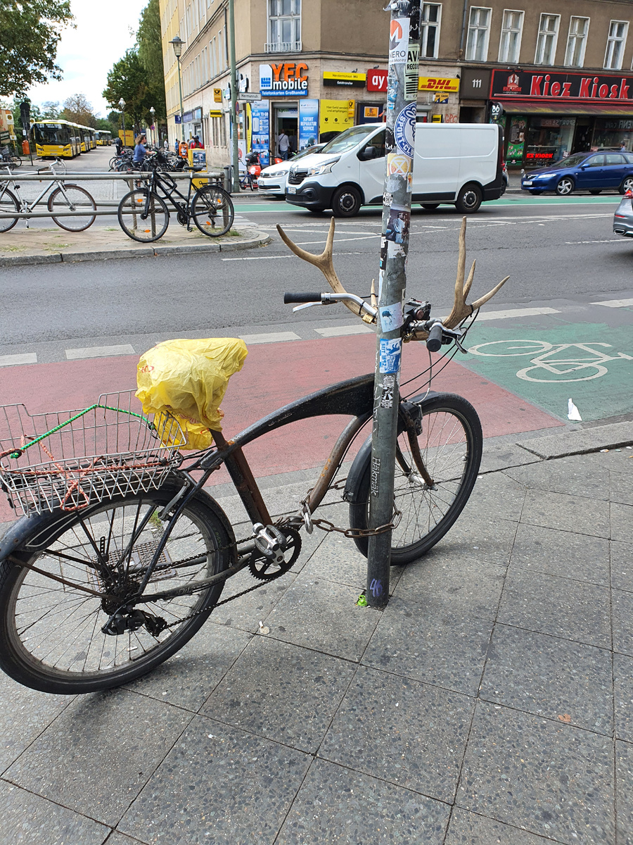 Рого-возец. И пусть весь мир расступается!)