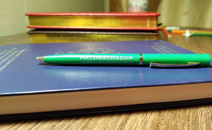    фото из архива Курских известий