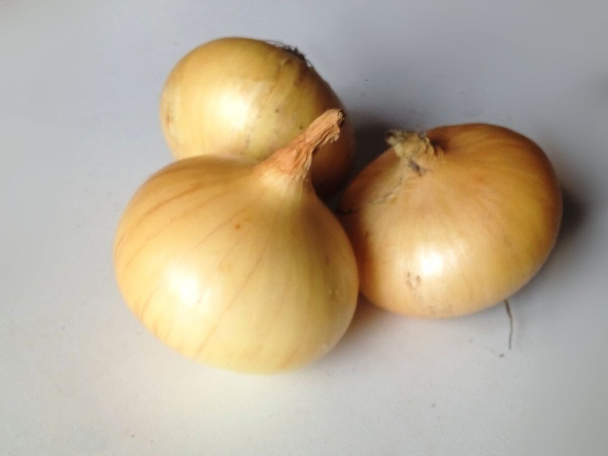 Лучок зимой нам очень нужен! 