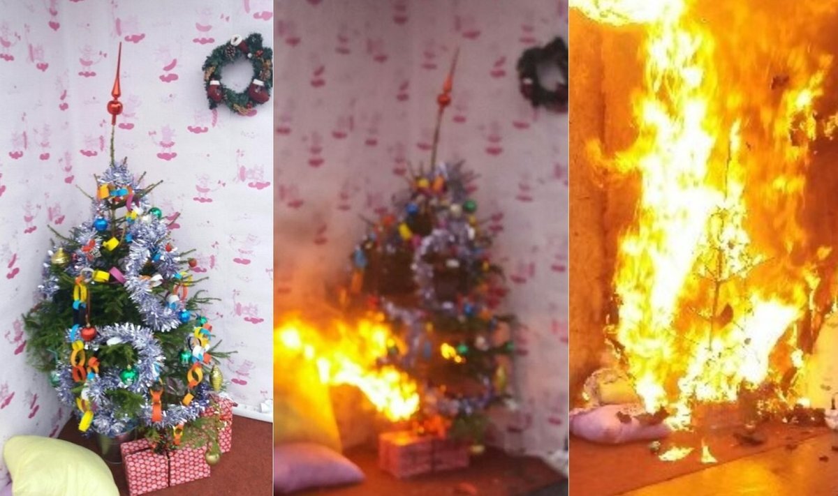 Горящая елка. Загорелась новогодняя елка. Поджог елки. Елка пожар. Пожар в новый год.