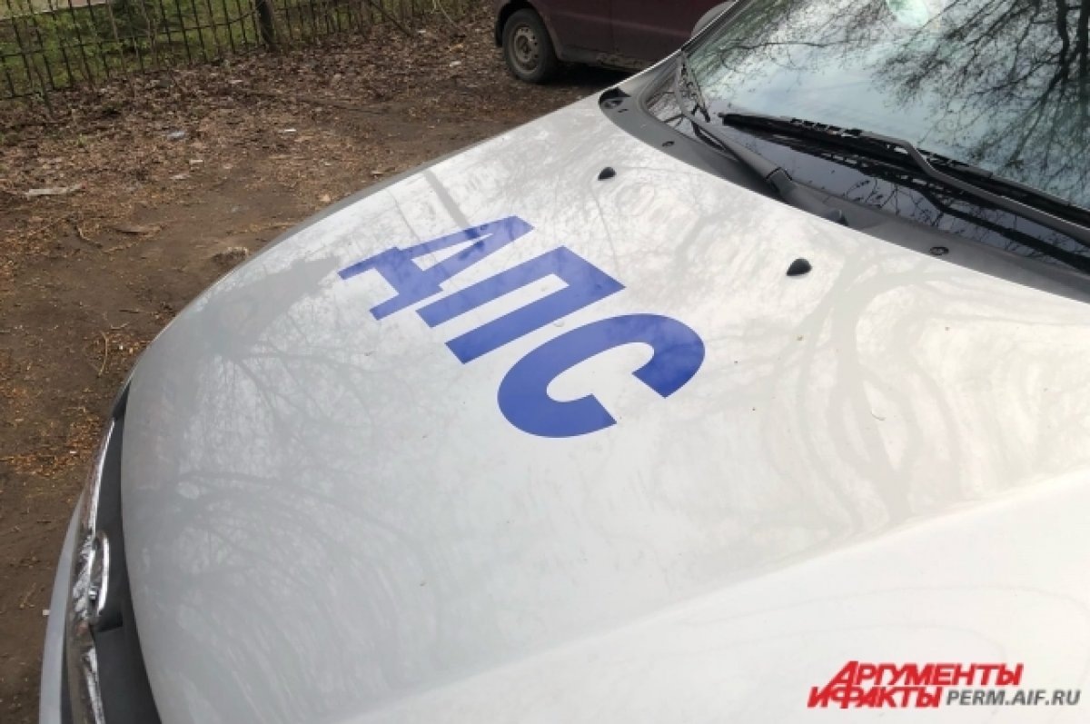    Автоинспекторы в Казани помогли беременной вовремя добраться до роддома