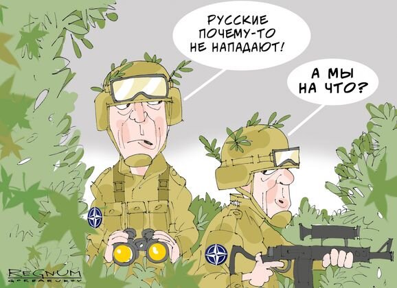    НАТО Александр Горбаруков © ИА REGNUM