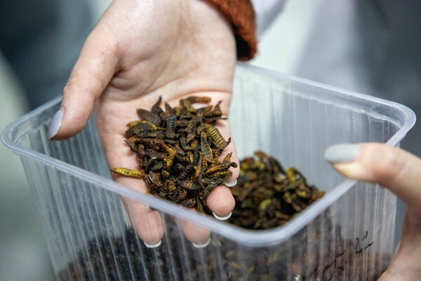 Фото © Тульская служба новостей