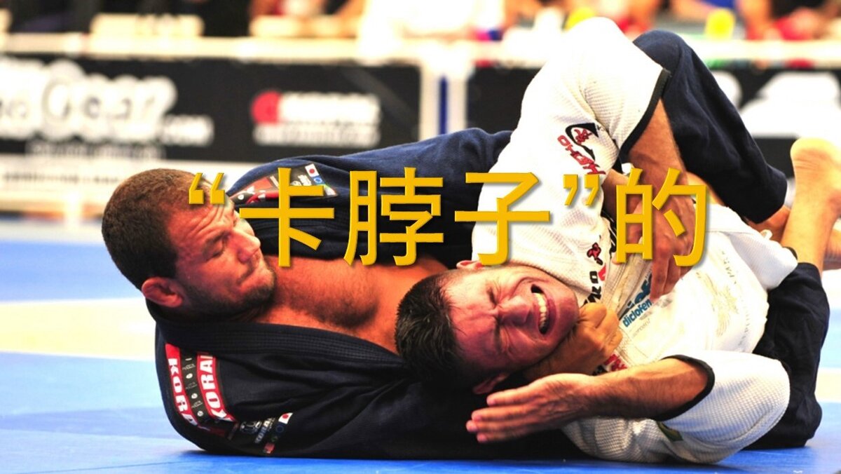 Бразильское Jiu Jitsu медведь