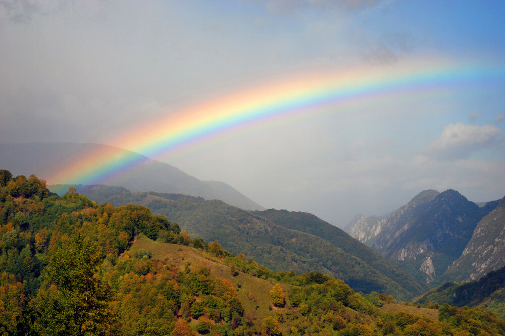    Радуга. Фото: Shutterstock.com