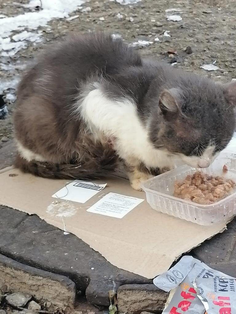 Поехала в область за ним из Смоленска. 