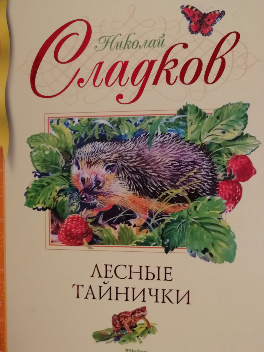 Фото автора. Наша новогодняя книга 2023