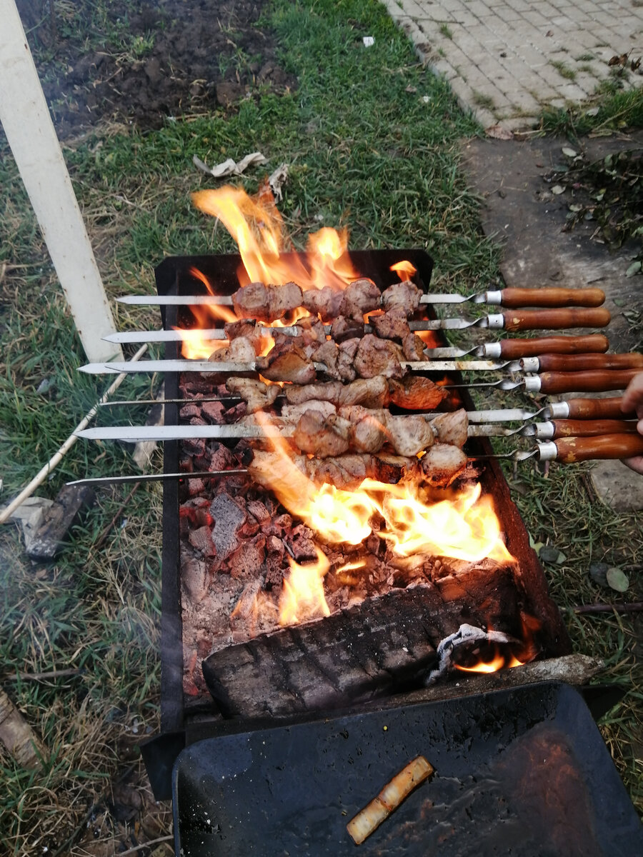Впервые в жизни не смогли пожарить шашлык. Мясо капало жиром, он загорался