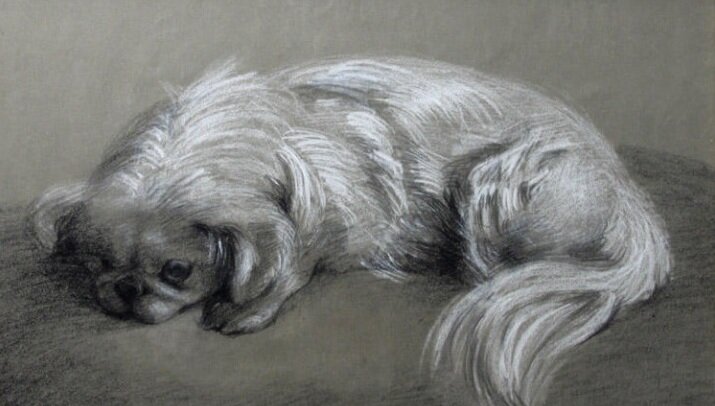 "�������"