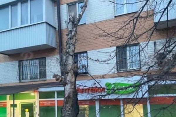 Источник фото: Ростов.ру