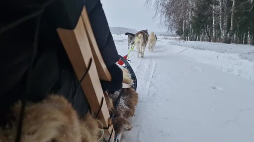 Пока в городе грязь и асфальт - мы летаем по сугробам! Настоящая зима за городом❄️.Вдруг вы соскучились по снегу😉