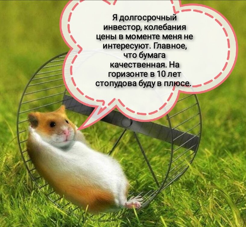 Комбо шифор хомяк