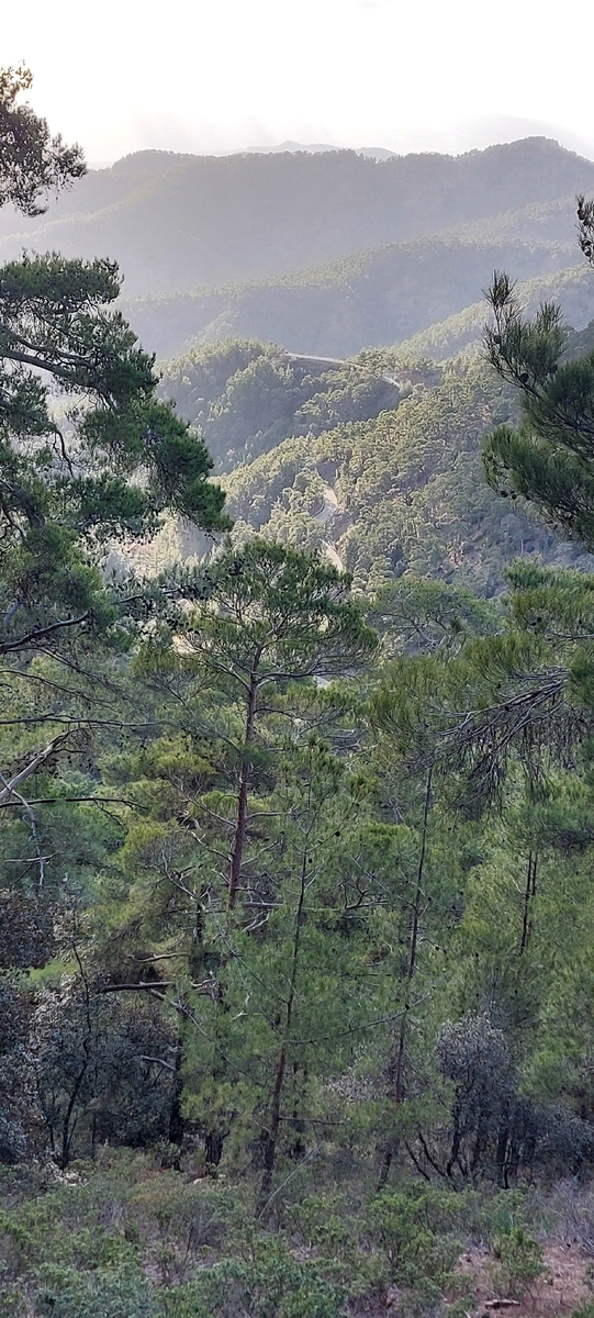 По такому серпантину мы добирались