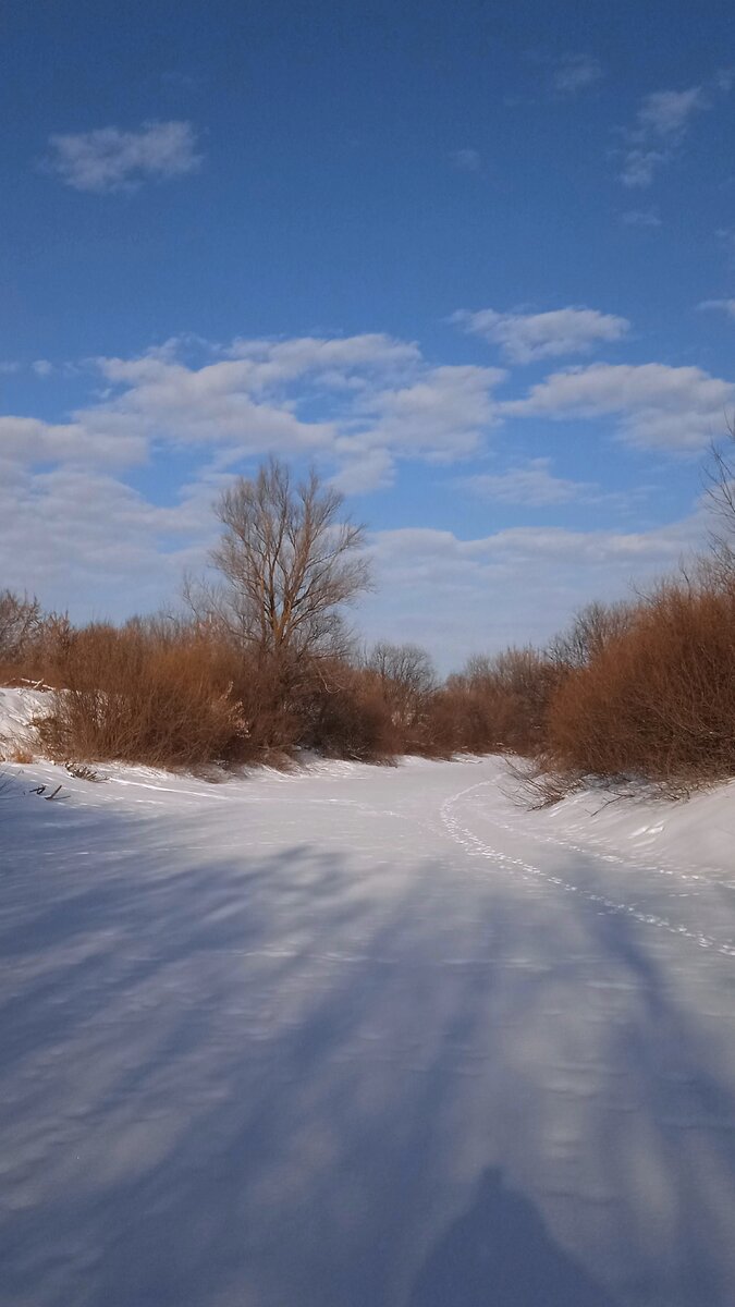 фото автора, синева неба