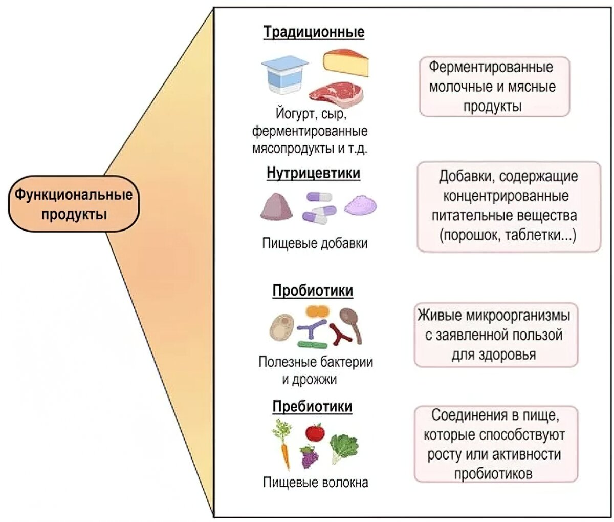 Число продуктов функционального. Функциональные продукты питания. Функциональные продукты это. К числу продуктов функционального питания относятся …. Функциональные продукты питания ГОСТ.