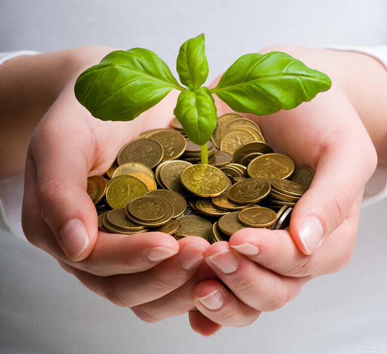 Картинки Яндекс