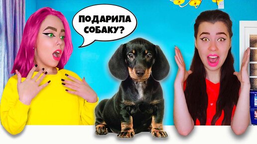 Descargar video: Я КУПИЛА СОБАКУ?! МОЯ СЕСТРА В ШОКЕ | ВЛОГ #25