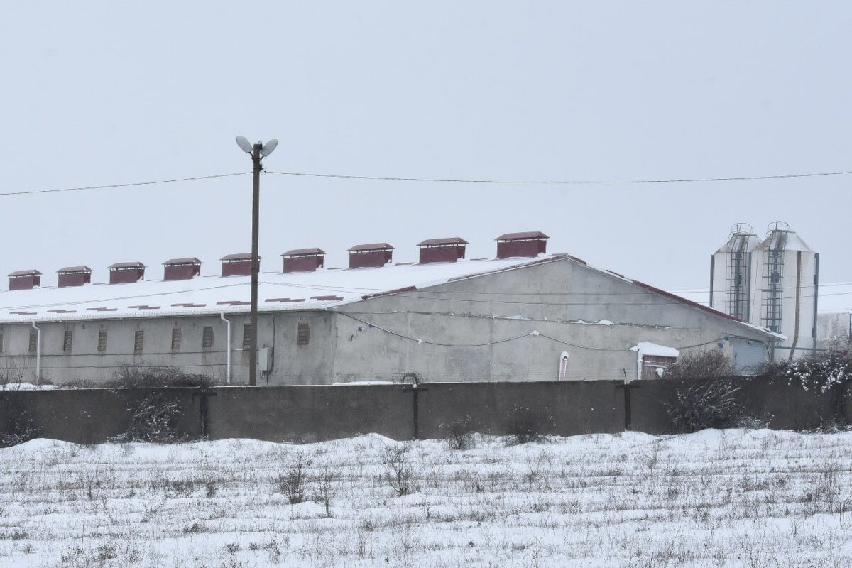 Фото: Гала Амарандо