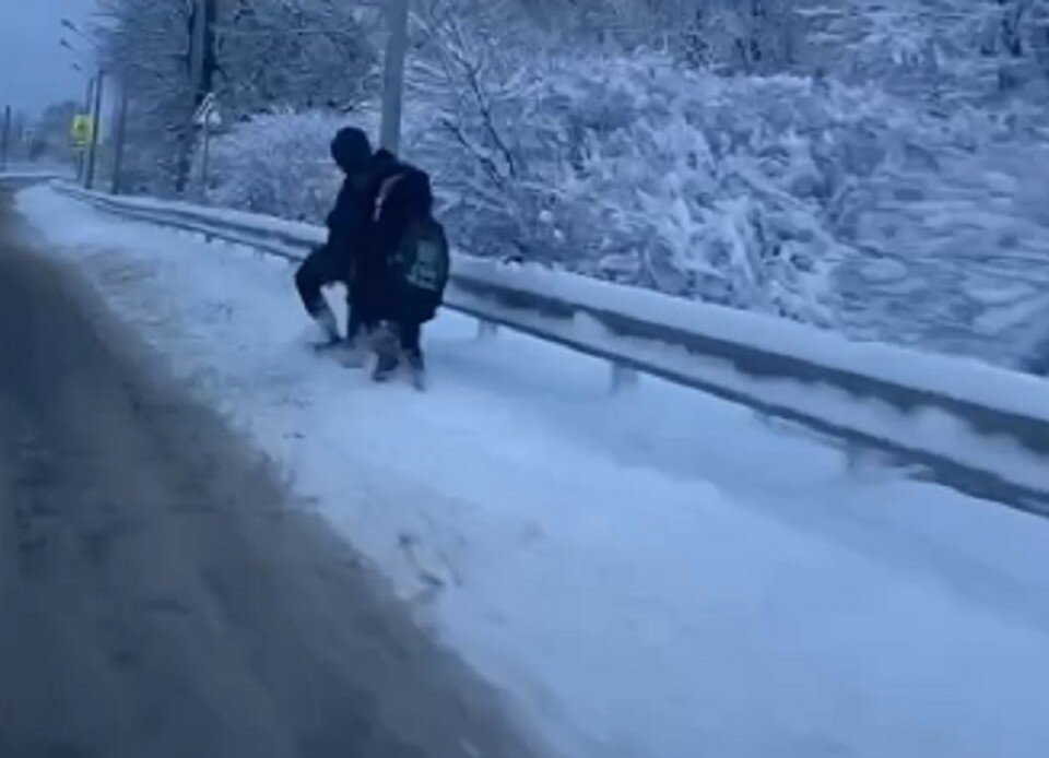     Школьники шли по дороге. Фото: скриншот видео