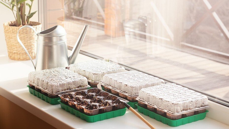 ShutterStock/Fotodom.ru 