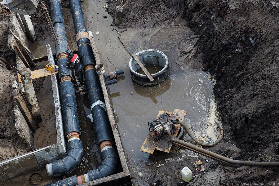 Фото: Виталий Невар / Новый Калининиград