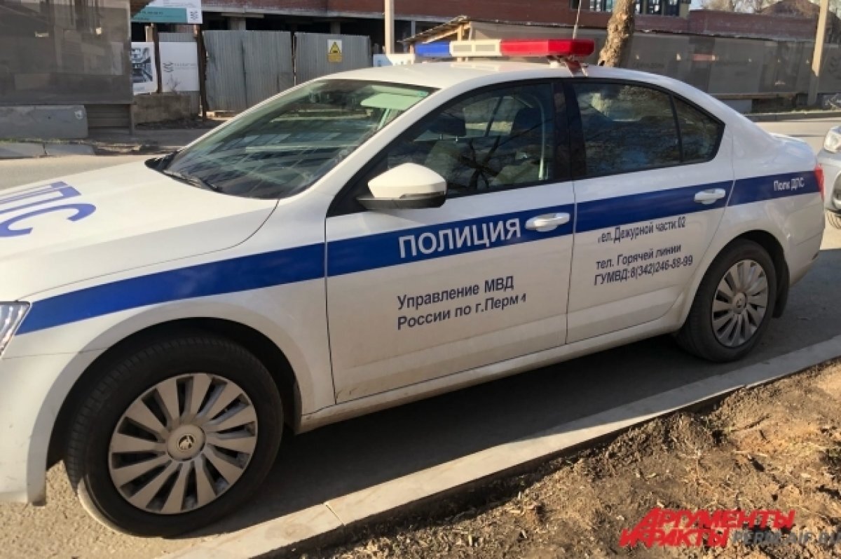    В Воронеже усилили наряды ДПС рядом со школами и детскими садами