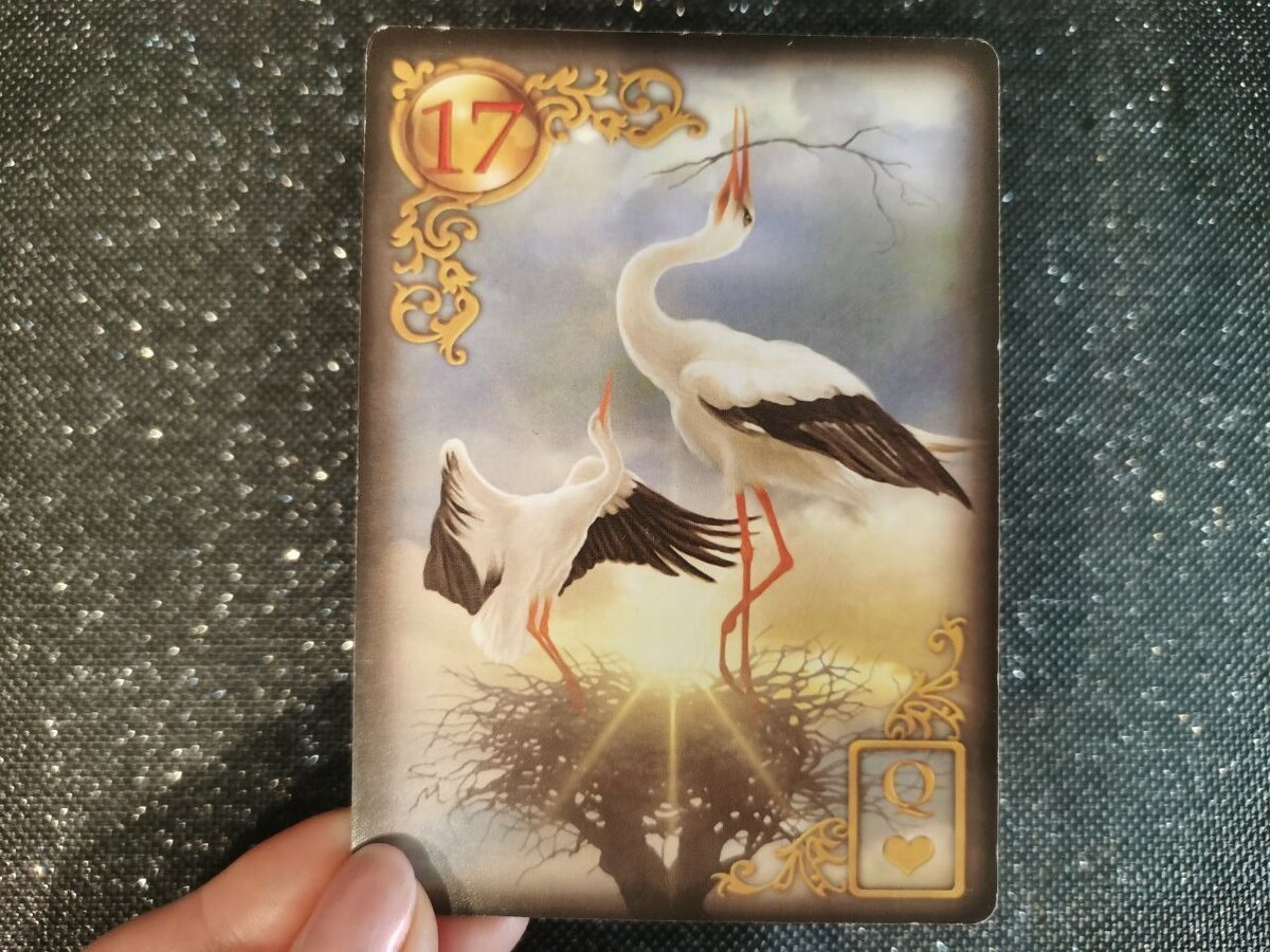 Таро оракул. Журнал оракул за 2011 год. Обложка книги магия на каждый день. Оракул на 2024г. Оракул на 2024г.