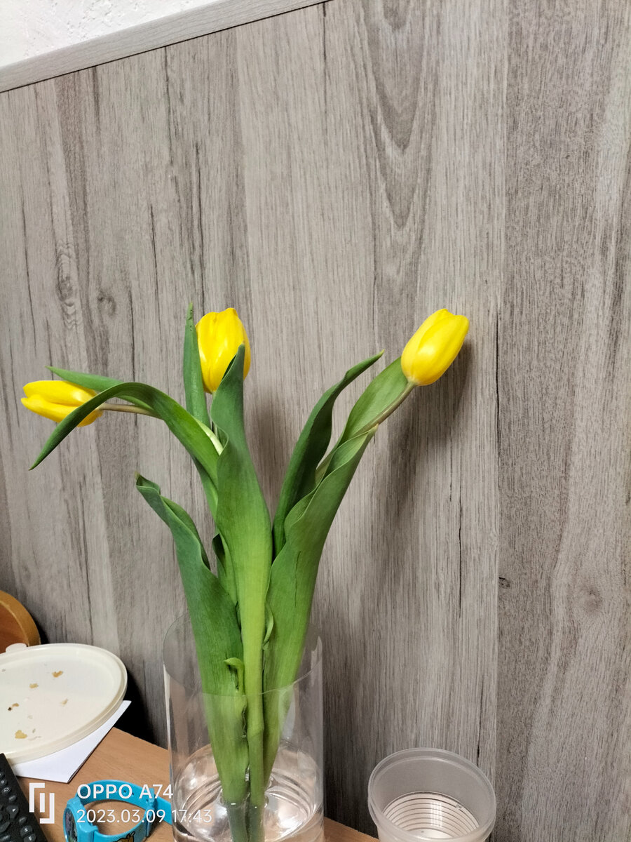 Было очень приятно