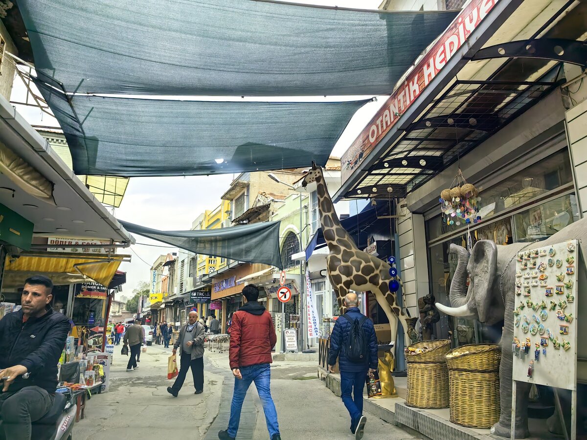 А слона заметили? Фото из машины