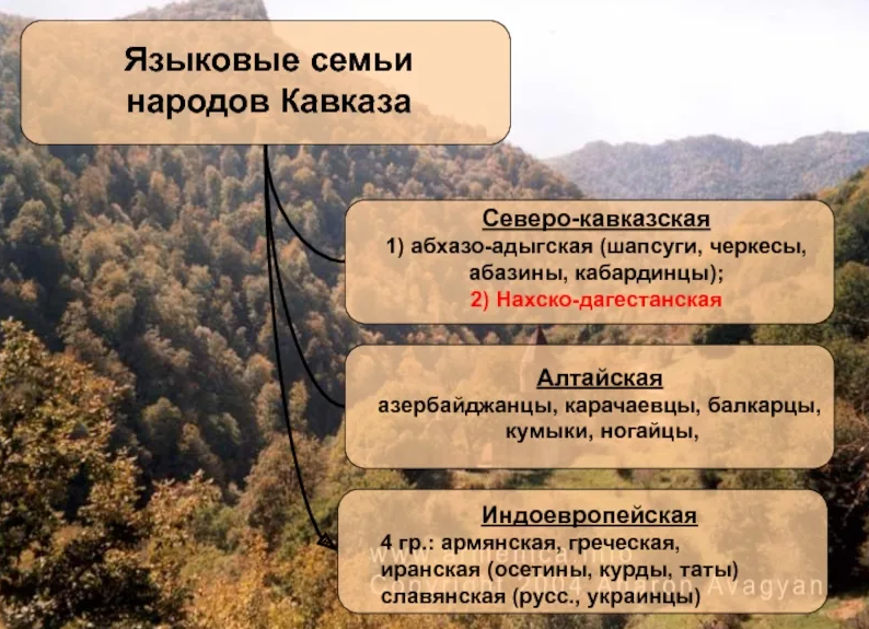 Языки народов северного кавказа. Кавказская языковая семья. Языковые семьи Северного Кавказа. Языковая семья Северного Кавказа. Группы кавказской языковой семьи
