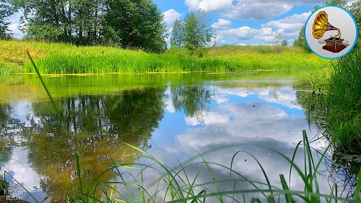 Расслабляющая атмосфера лета, нежный шум реки и пение птиц для медитации.