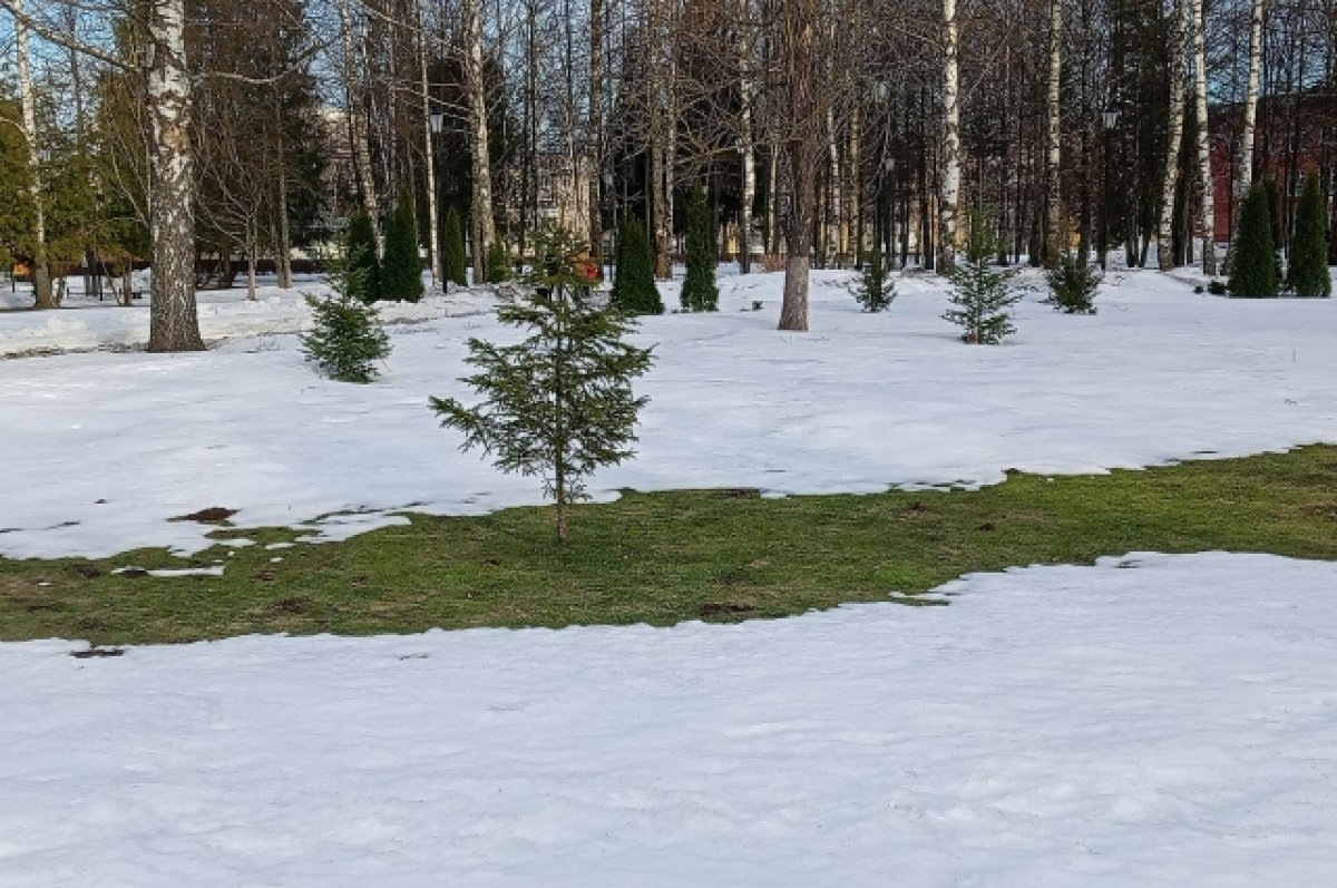    В Тверской области ожидается очередная волна тепла