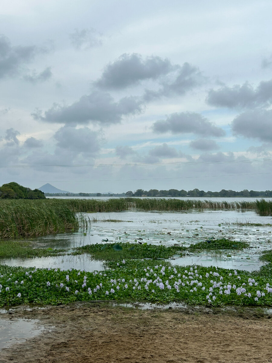 Вид на озеро с бассейна отеля