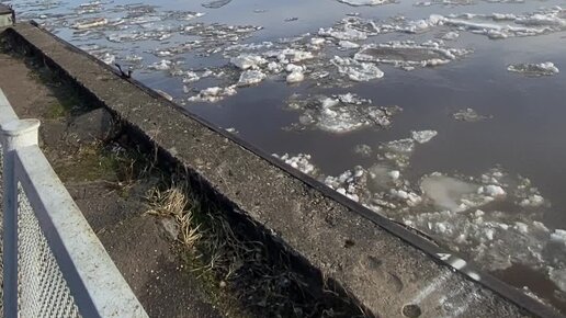 Ледоход в твери