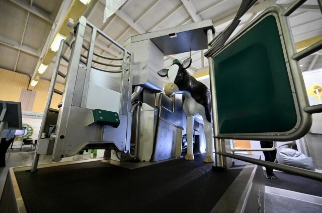    Фото: Департамент информационной политики Свердловской области