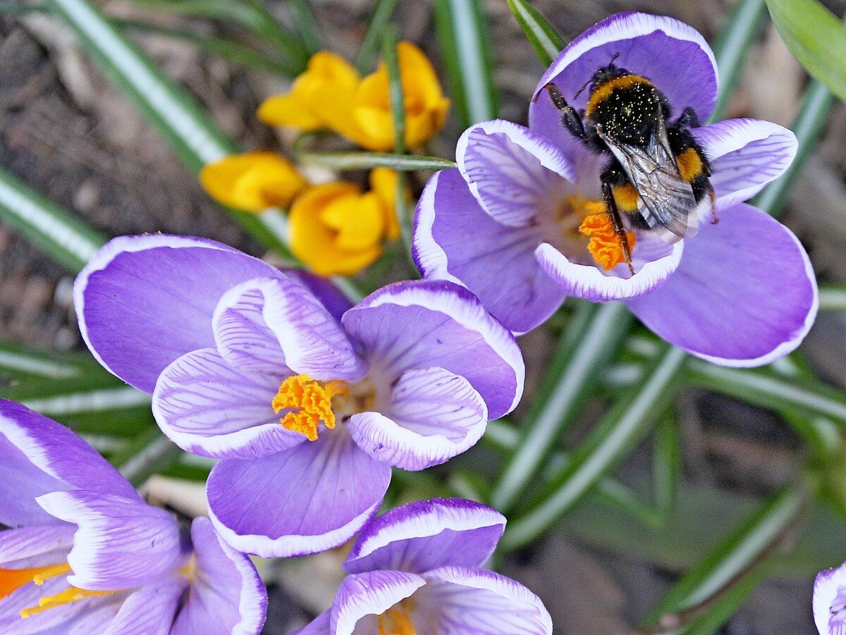    Фото: Антон Гердо / Вечерняя Москва