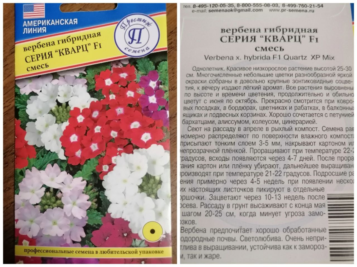 Профсемена в любительской упаковке вербены серии "Кварц"