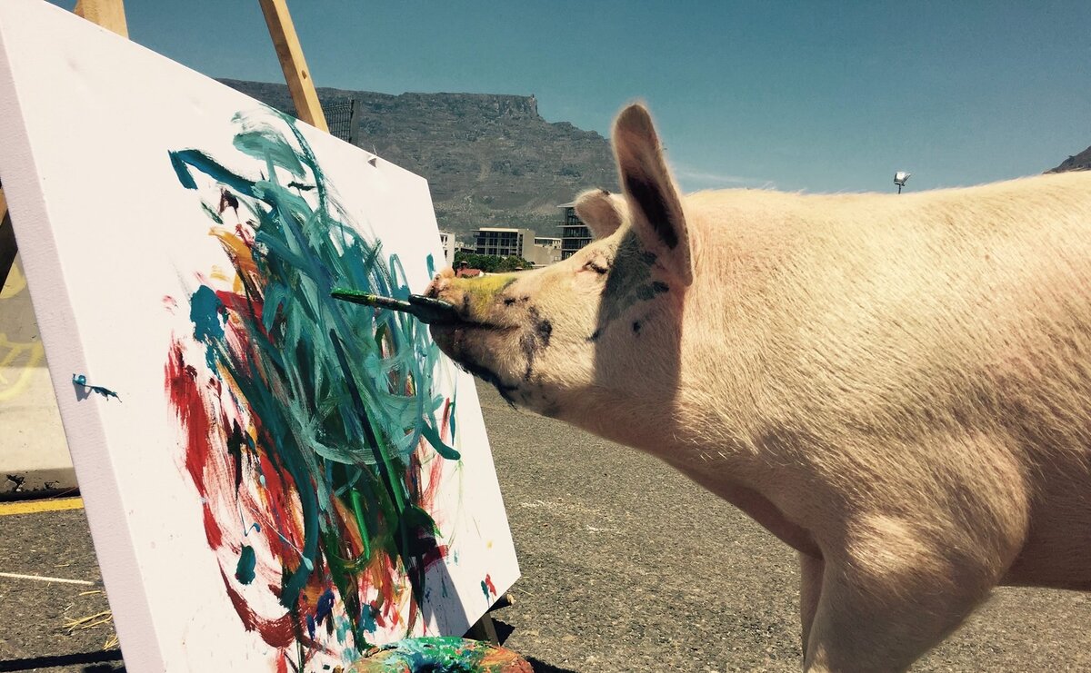 Закол свиньи/URL: https://krasivosti.pro/raznoe/93252-zakol-svini.html