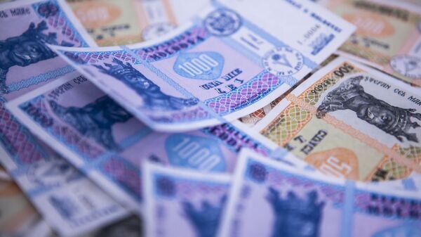    © Sputnik / Yana Zaharova