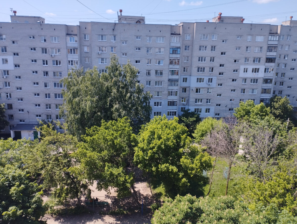 Соседний дом и двор