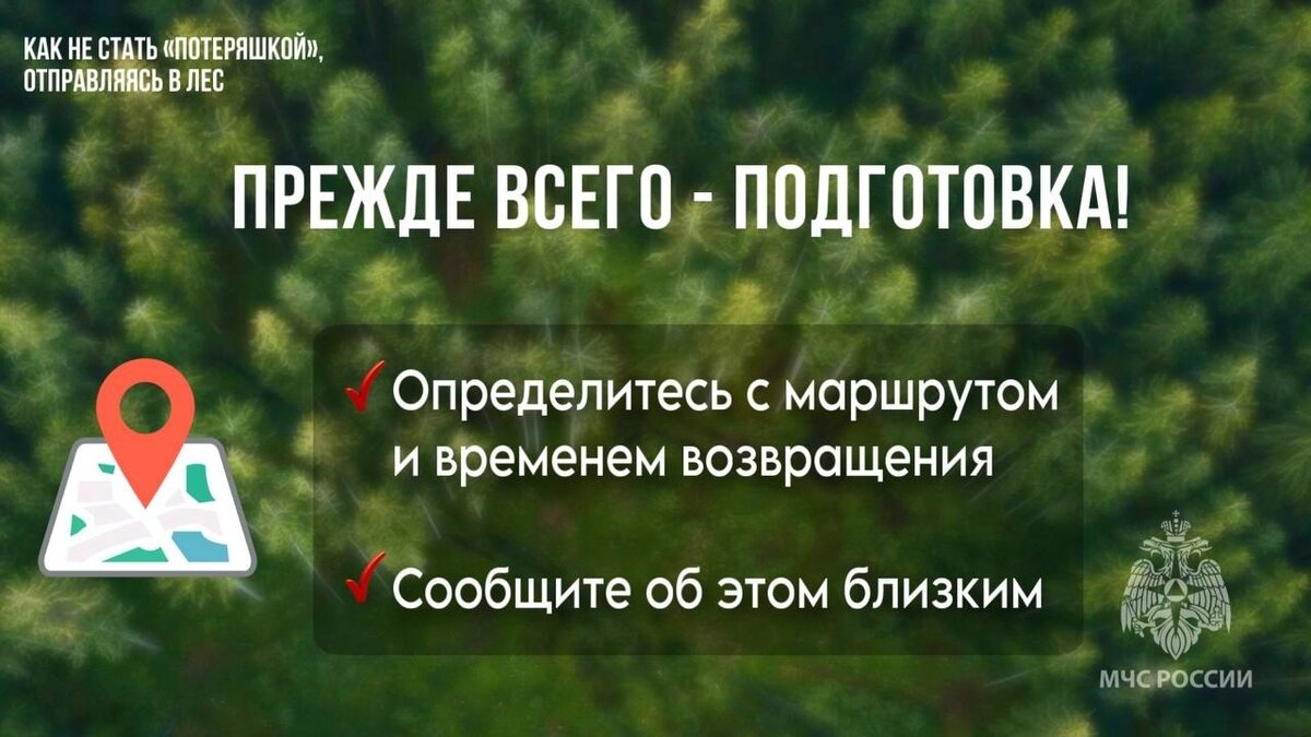 Безобидная прогулка может обернуться настоящей бедой | МЧС Ставрополья |  Дзен