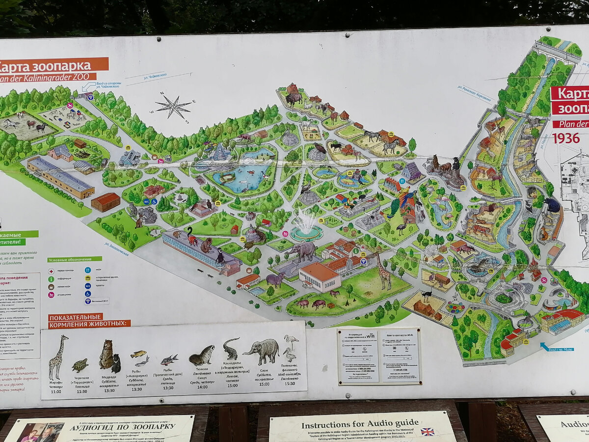 Зоопарк калининград схема. Зоопарк калининграда на карте города. Зоопарк калининград как добраться. Карта зоопарка калининград. Зоопарк калининград как добраться.