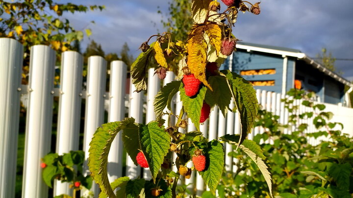 ФОТО: MAKSIM KONSTANTINOV/GLOBALLOOKPRESS