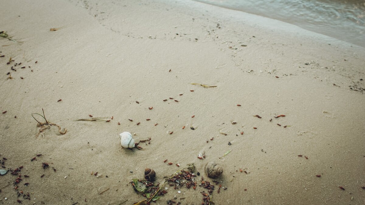     В селе Именьково Лаишевского района Татарстана двух местных жительниц унесло течением. Сотрудникам МЧС удалось спасти девушек от беды. О деталях инцидента сообщила пресс-служба управления.