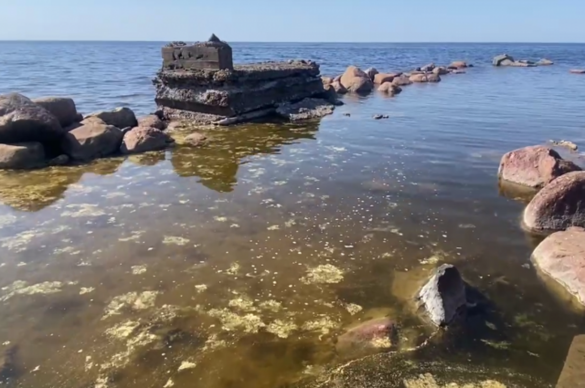 Берега финского заливе в Финляндии